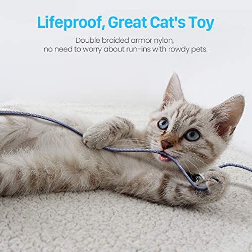 Lightning to USB-A Cable (10ft / 3m) - Lisen